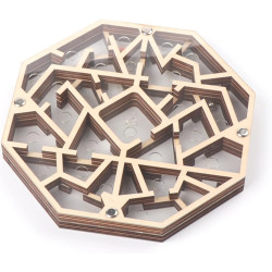 MYSTERIOUS LABYRINTH