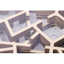 MYSTERIOUS LABYRINTH