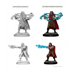 MINIATURAS D&D: HUMAN MALE SORCERER