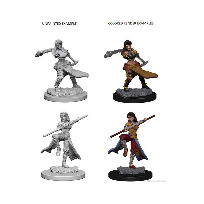 MINIATURAS D&D: HUMAN FEMALE MONK