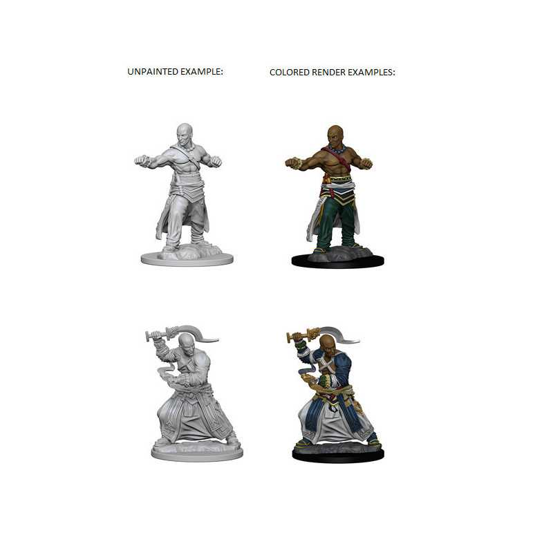 MINIATURAS PATHFINDER: HUMAN MALE MONK