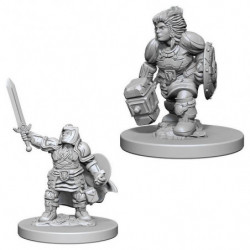 MINIATURAS D&D: DWARF FEMALE PALADIN