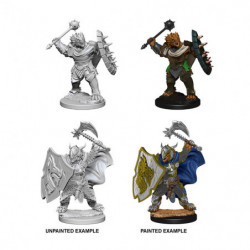 MINIATURAS D&D: DRAGONBORN MALE PALADIN