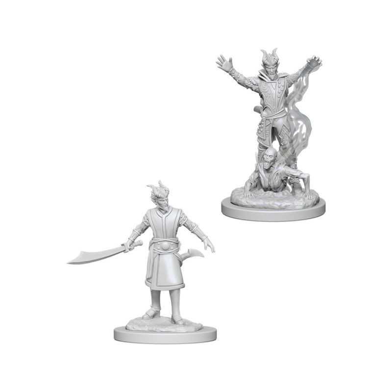 MINIATURAS D&D: MALE TIEFLING WARLOCK