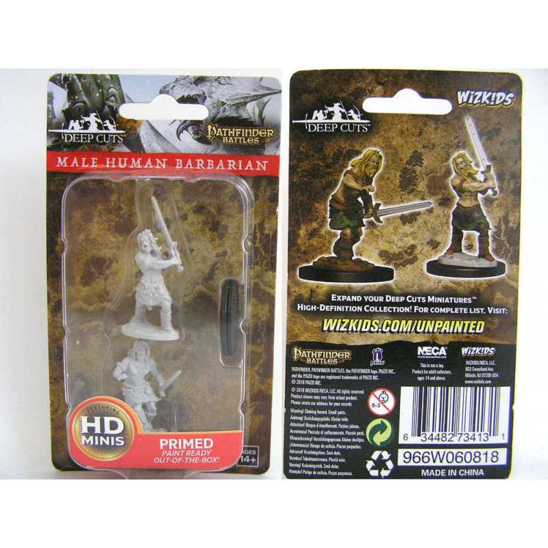 MINIATURAS PATHFINDER: MALE HUMAN BARBARIAN
