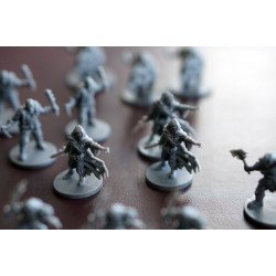 EL SENOR DE LOS ANILLOS: VIAJES POR LA TIERRA MEDIA