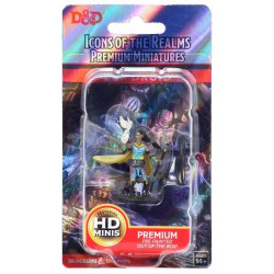 MINIATURAS D&D PREMIUM: ELF FEMALE DRUID