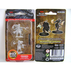 MINIATURAS D&D: FEMALE TIEFLING WARLOCK