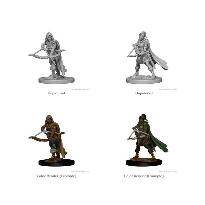 MINIATURAS D&D: HUMAN FEMALE DRUID