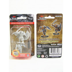 MINIATURAS D&D: DRAGONBORN MALE FIGHTER