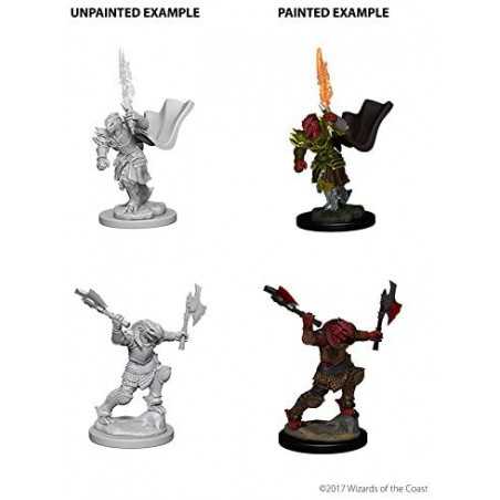 MINIATURAS D&D: DRAGONBORN FEMALE FIGHTER