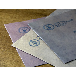 DETECTIVE: CONEXIÓN VIENA