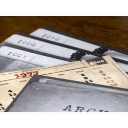 DETECTIVE: CONEXIÓN VIENA