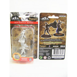 MINIATURAS PATHFINDER: HUMAN FEMALE ROGUE