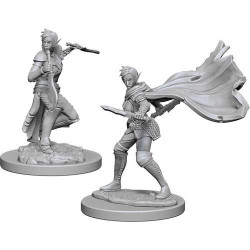 MINIATURAS PATHFINDER: HUMAN FEMALE ROGUE